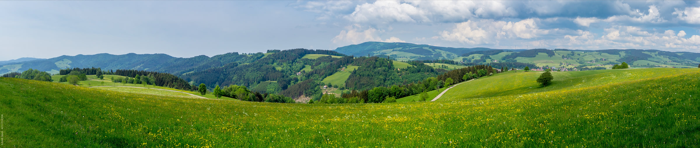Landschaft im Breisgau